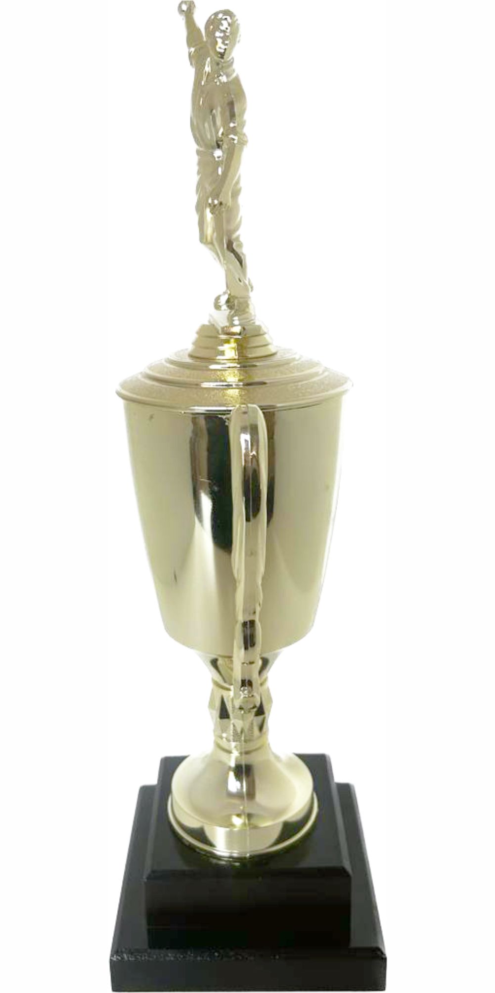 Cricket Bowler Trophy 405mm