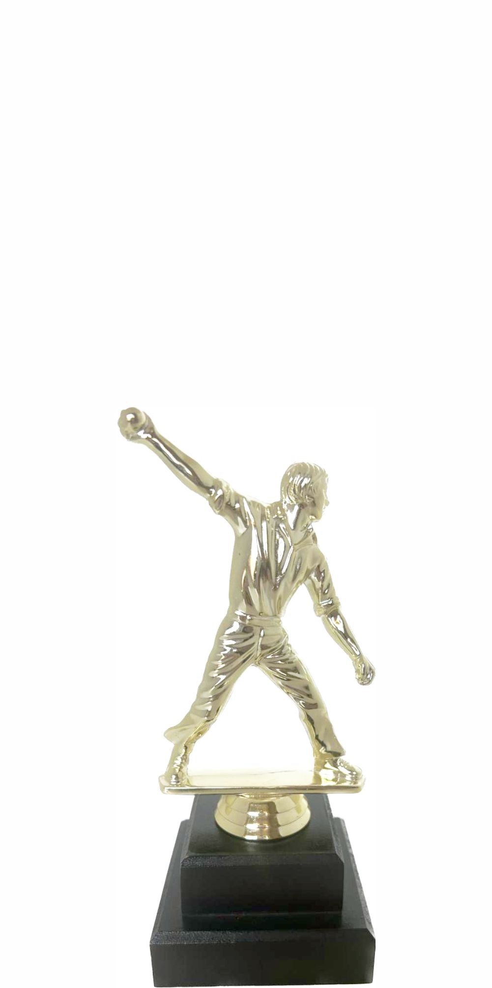 Cricket Bowler Trophy 180mm