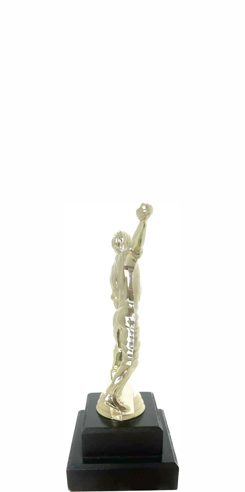 Cricket Bowler Trophy 180mm