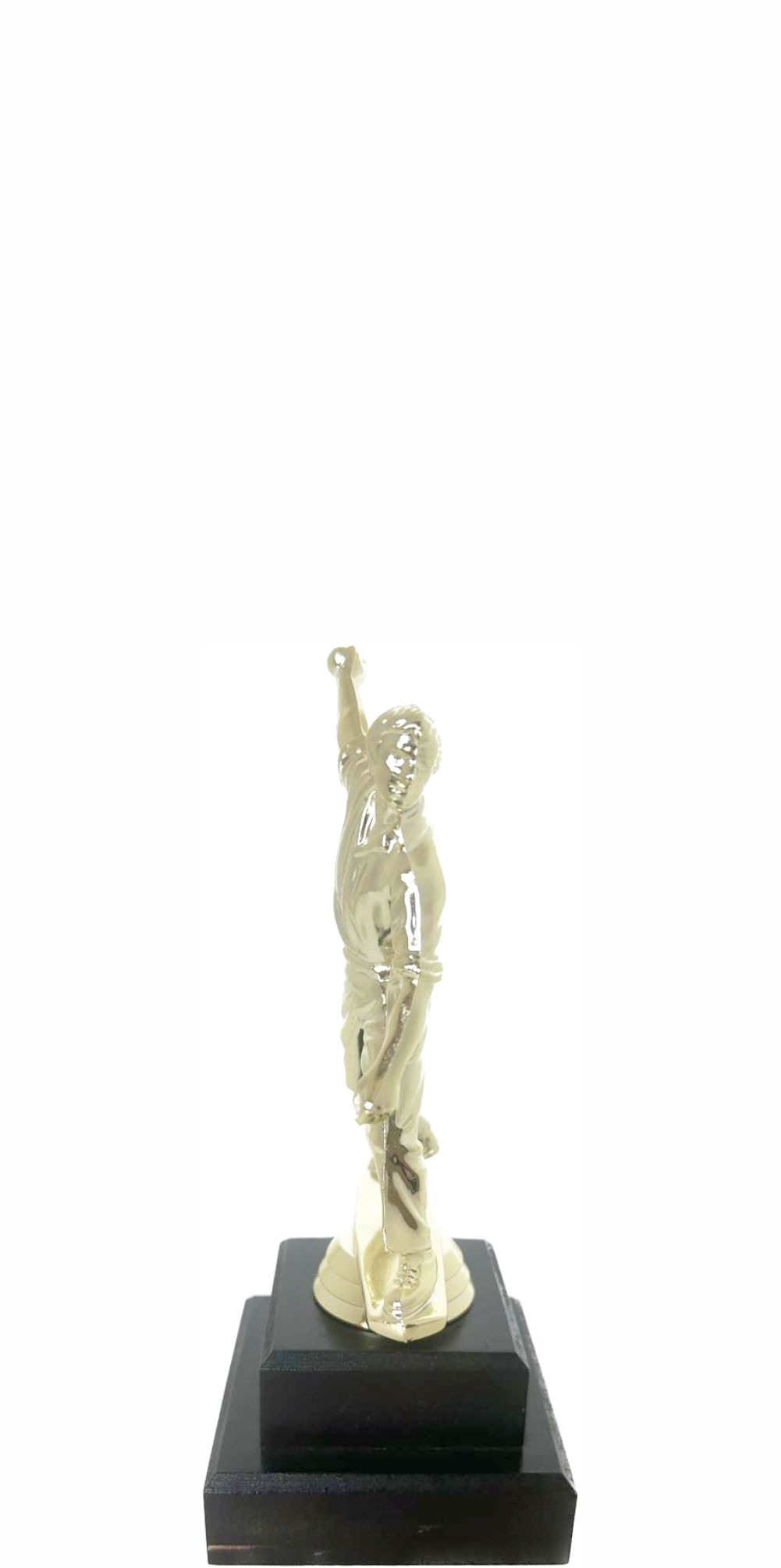 Cricket Bowler Trophy 180mm