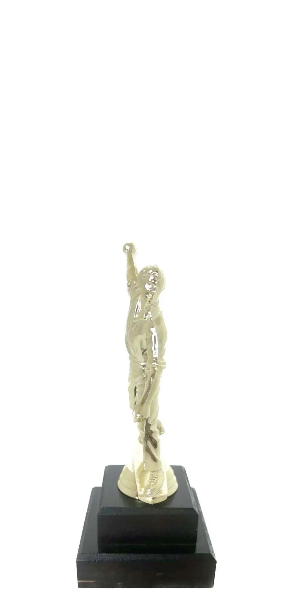 Cricket Bowler Trophy 180mm