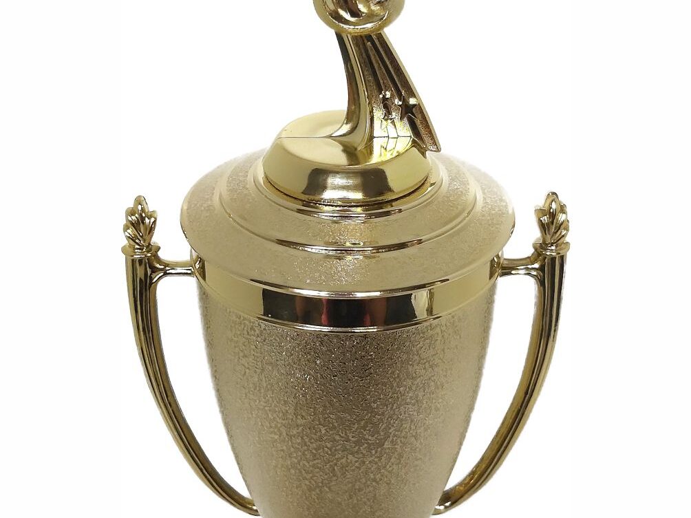 Music All Star Trophy 430mm