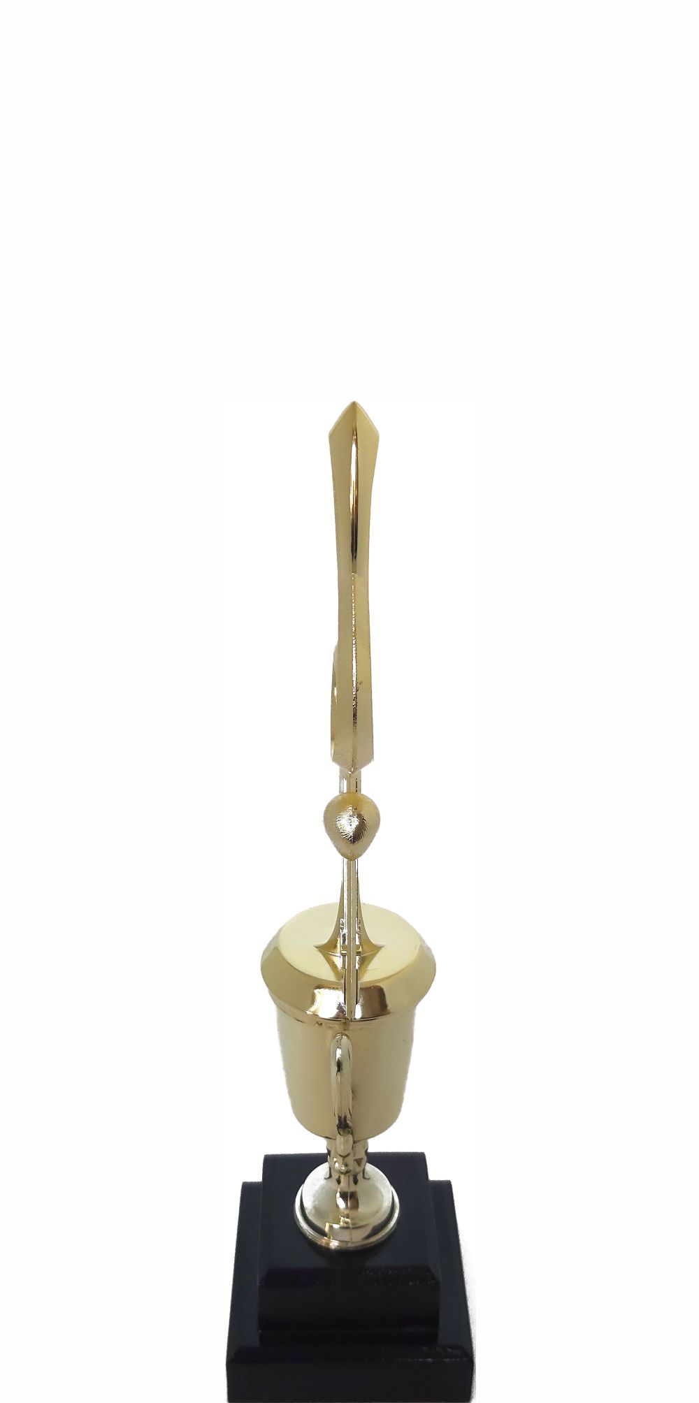 Music All Star Trophy 290mm