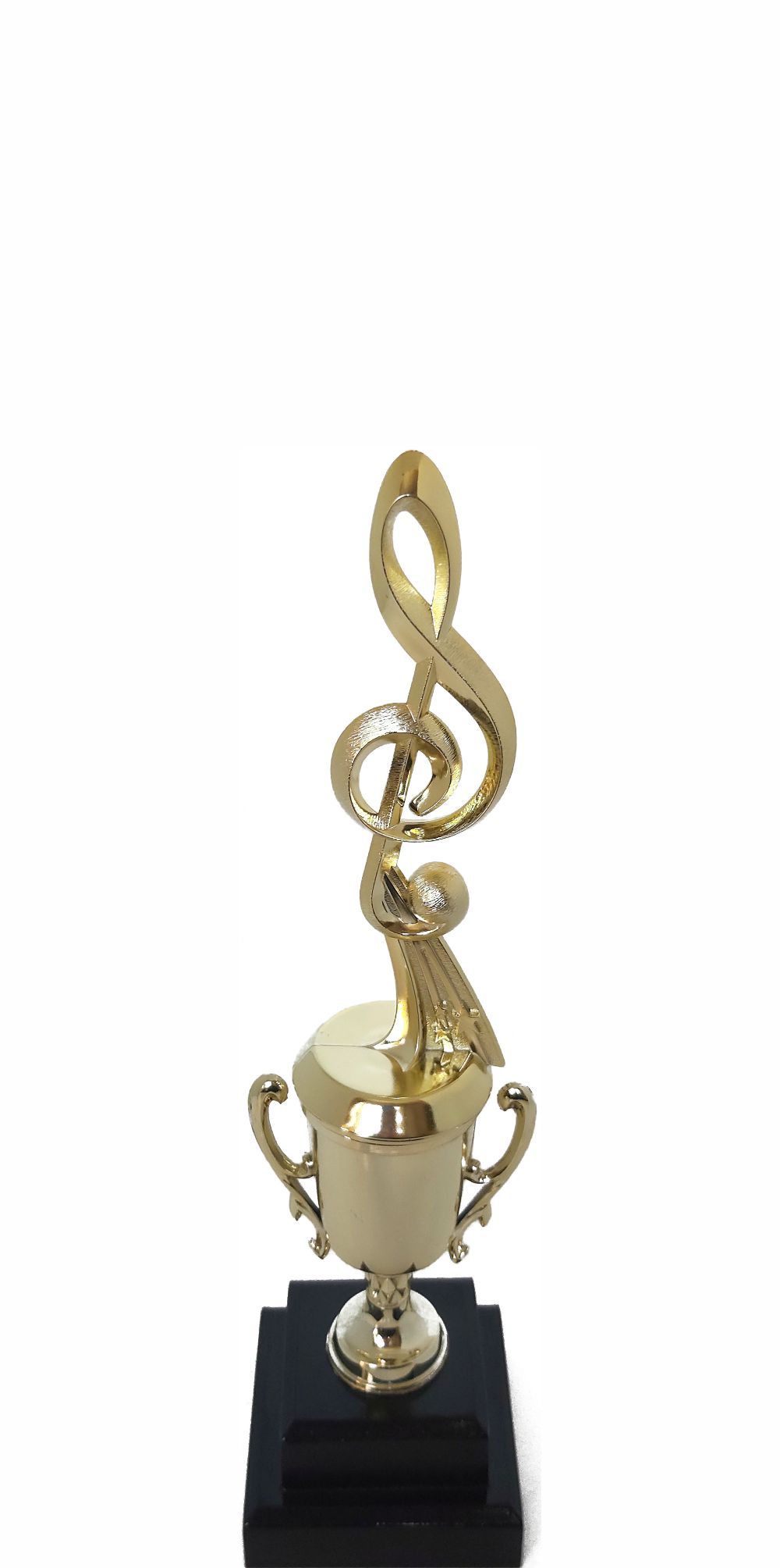 Music All Star Trophy 290mm