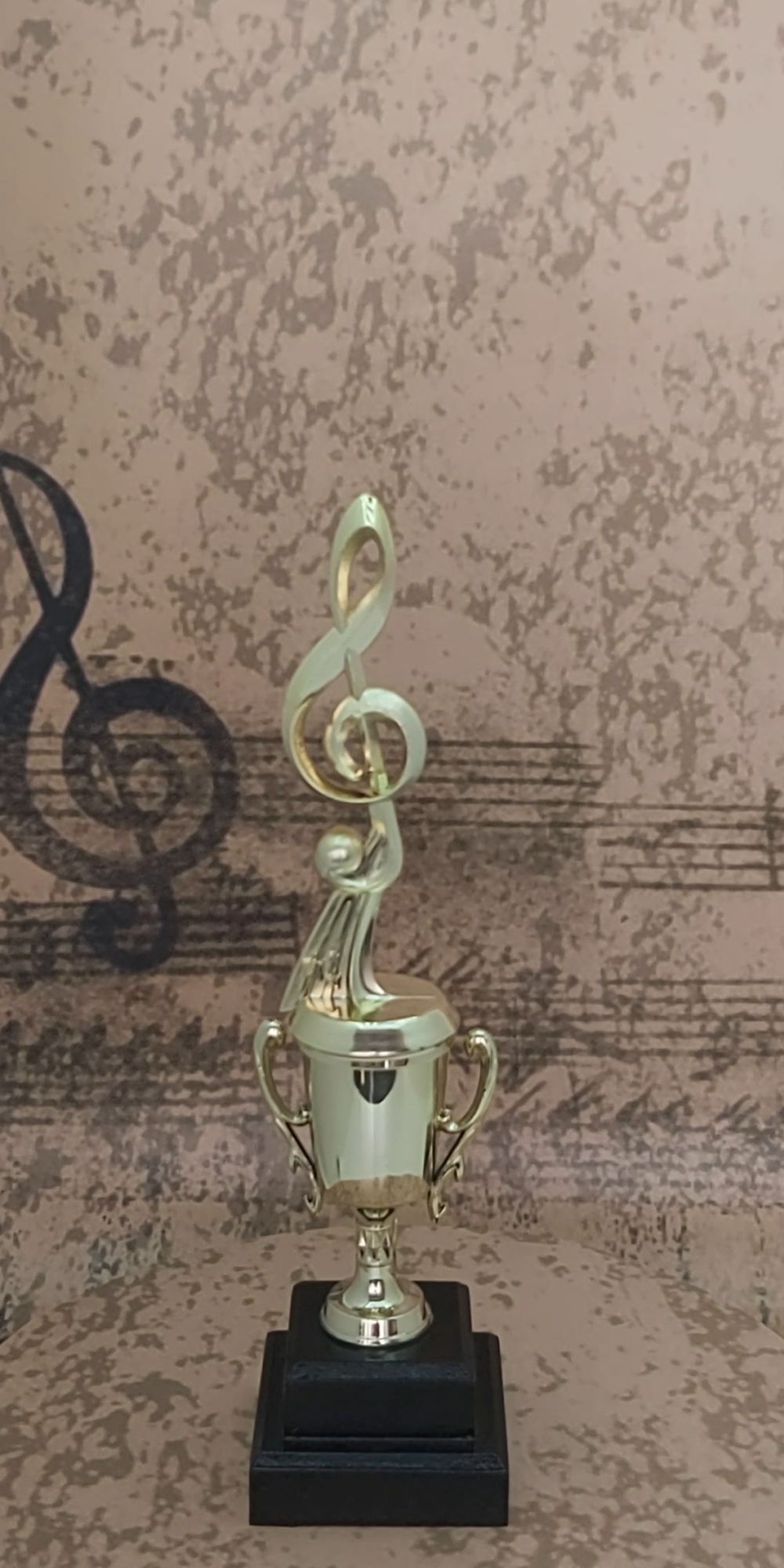 Music All Star Trophy 290mm
