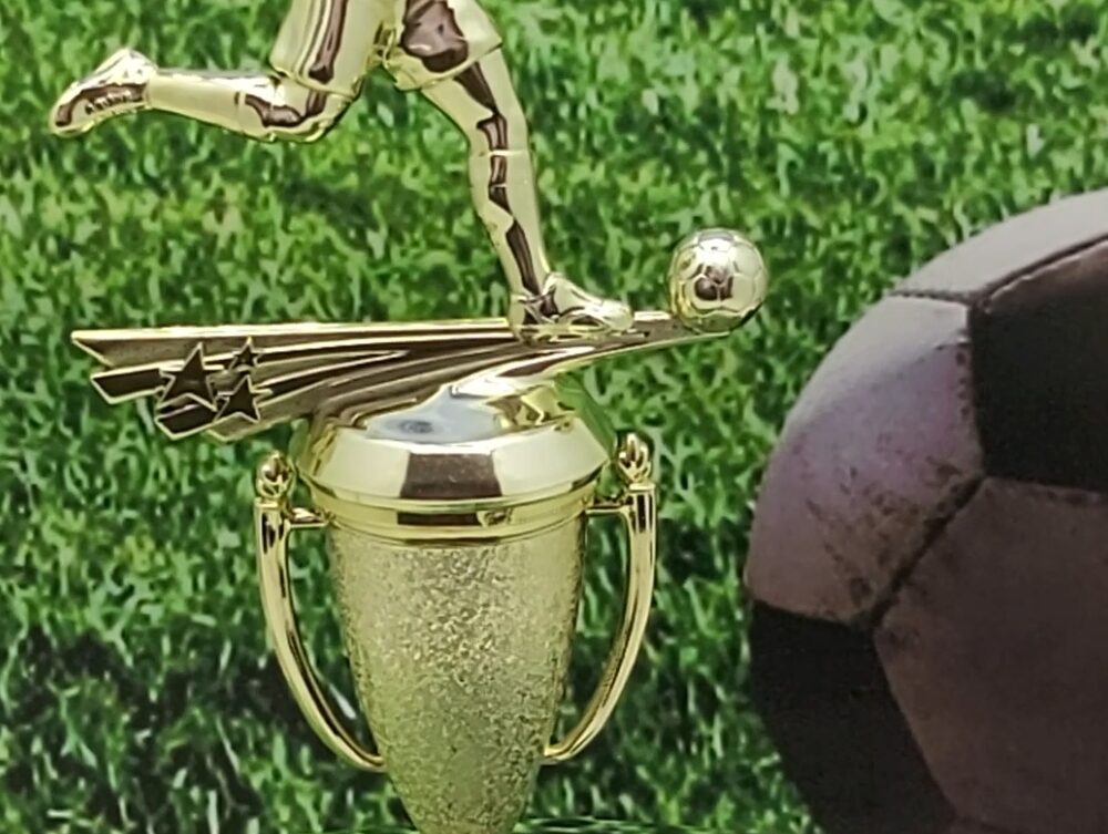 Soccer All Star Male Trophy 265mm