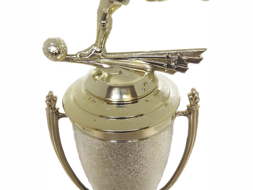 Soccer All Star Male Trophy 365mm