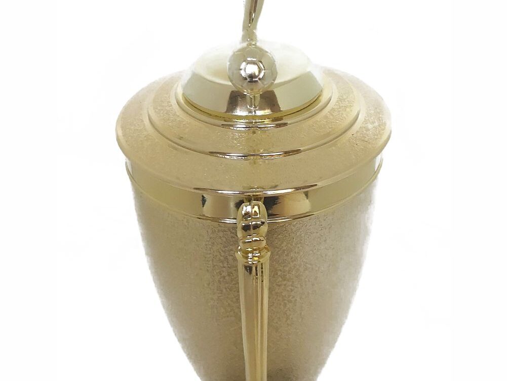 Soccer All Star Male Trophy 405mm