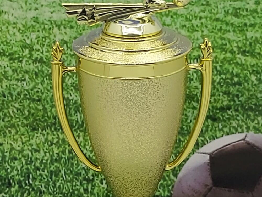 Soccer All Star Male Trophy 365mm