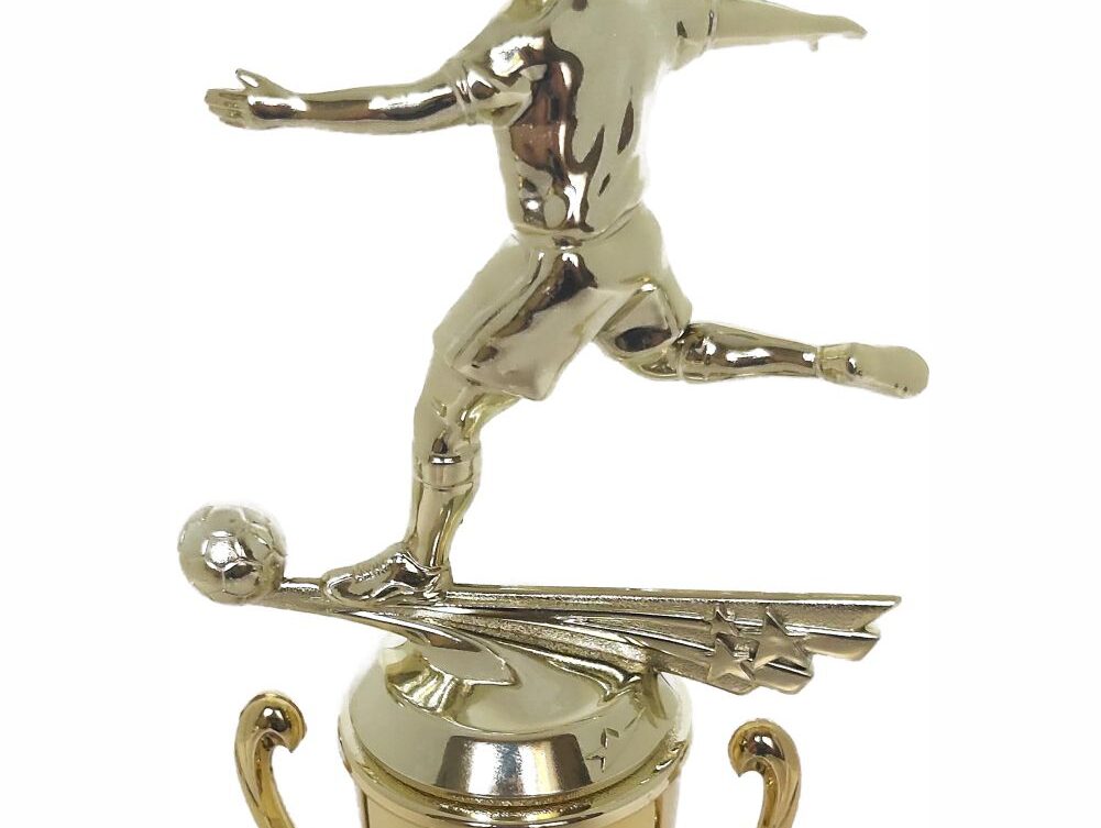 Soccer All Star Male Trophy 290mm