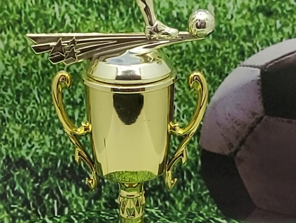 Soccer All Star Male Trophy 290mm