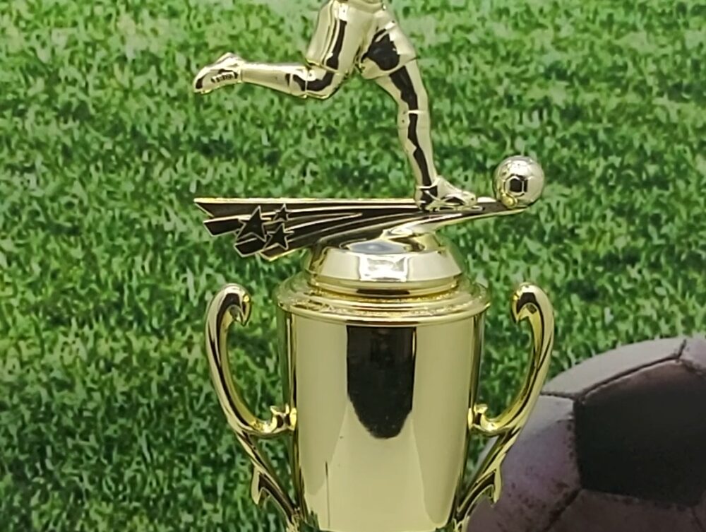 Soccer All Star Male Trophy 325mm