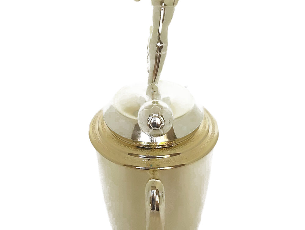 Soccer All Star Male Trophy 365mm