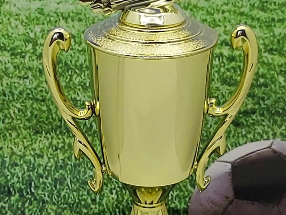 Soccer All Star Male Trophy 405mm