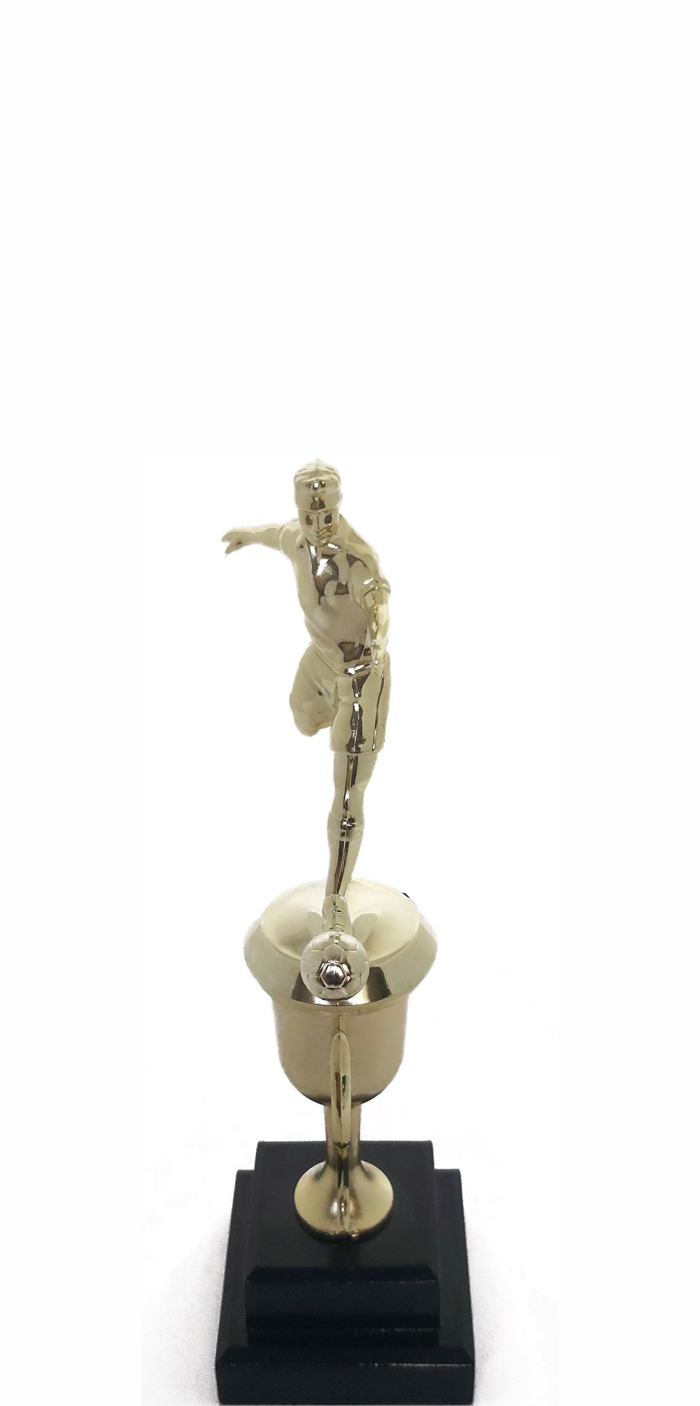 Soccer All Star Male Trophy 265mm