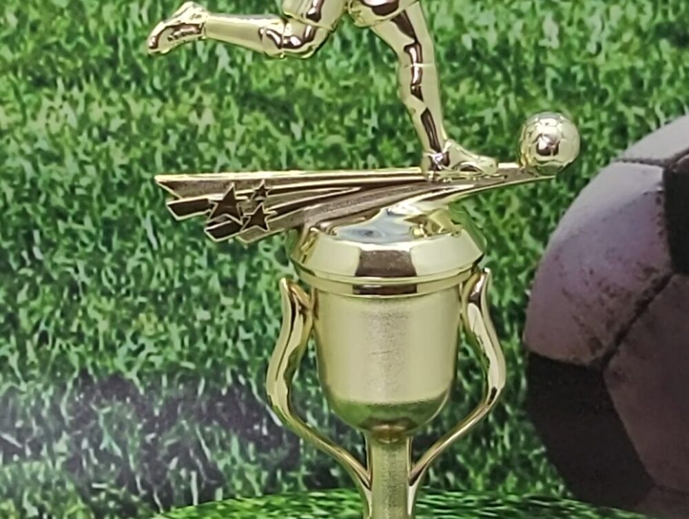 Soccer All Star Male Trophy 265mm
