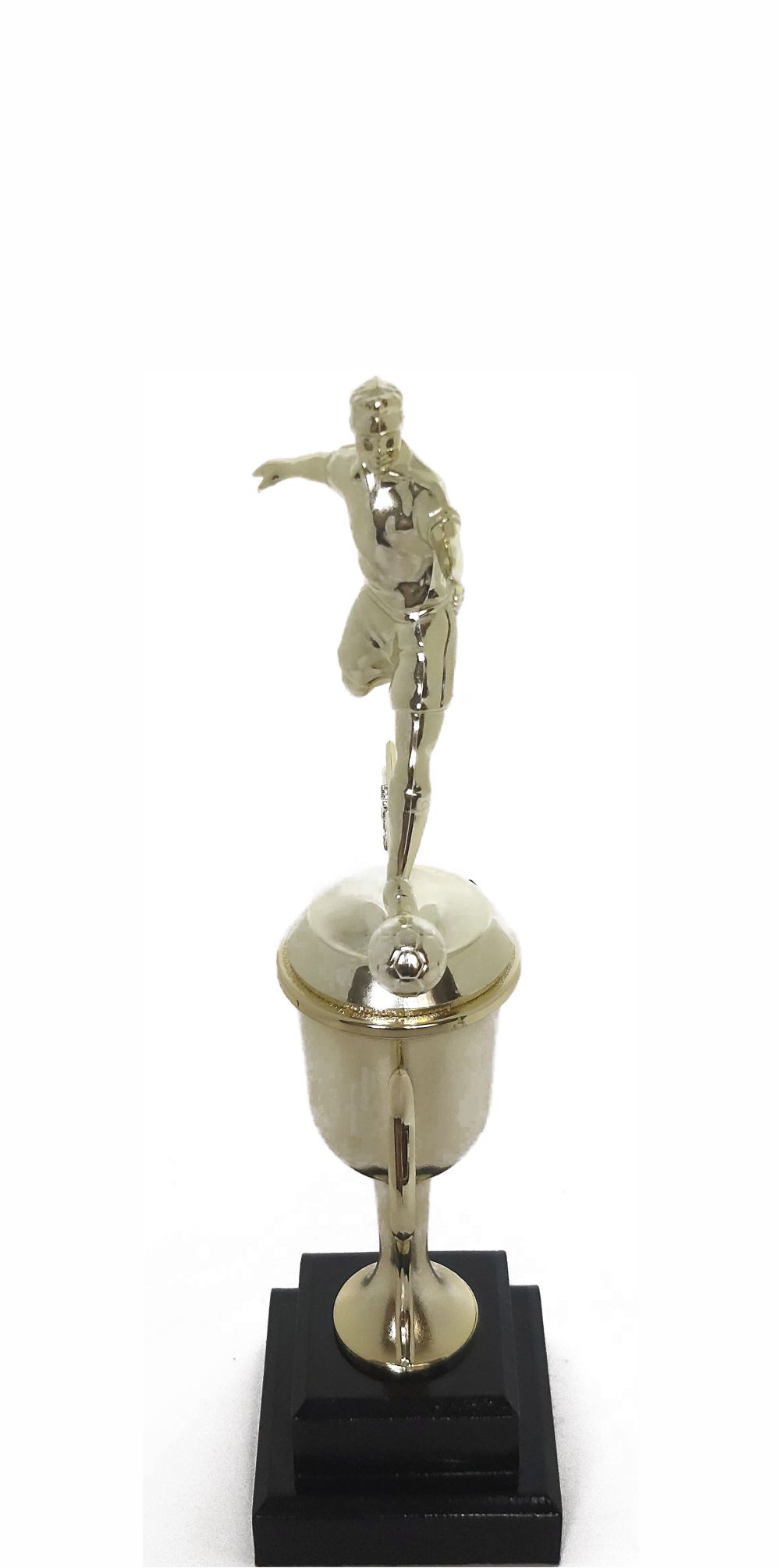 Soccer All Star Male Trophy 290mm