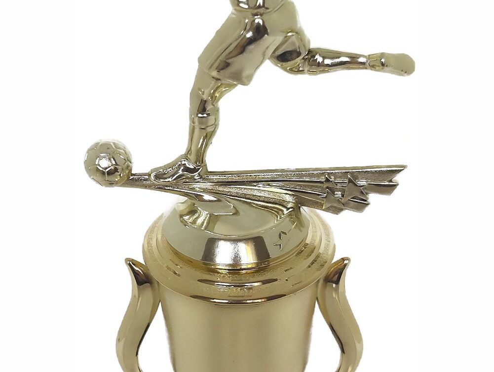 Soccer All Star Male Trophy 325mm
