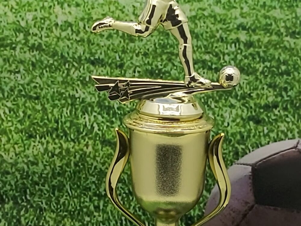 Soccer All Star Male Trophy 325mm