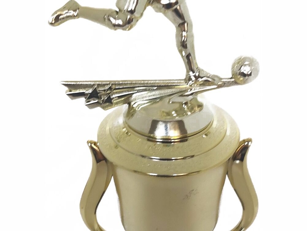 Soccer All Star Male Trophy 365mm