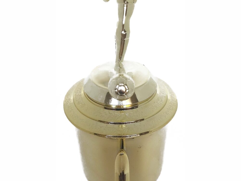 Soccer All Star Male Trophy 365mm
