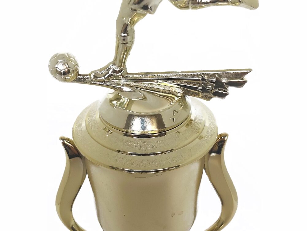 Soccer All Star Male Trophy 365mm