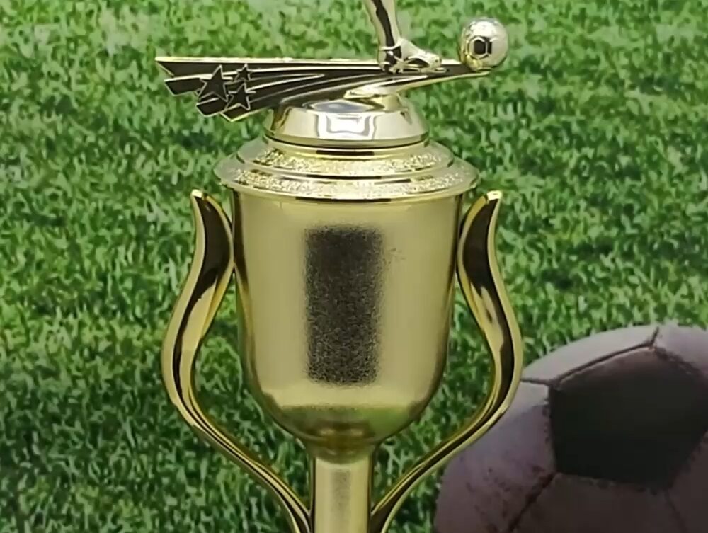Soccer All Star Male Trophy 365mm