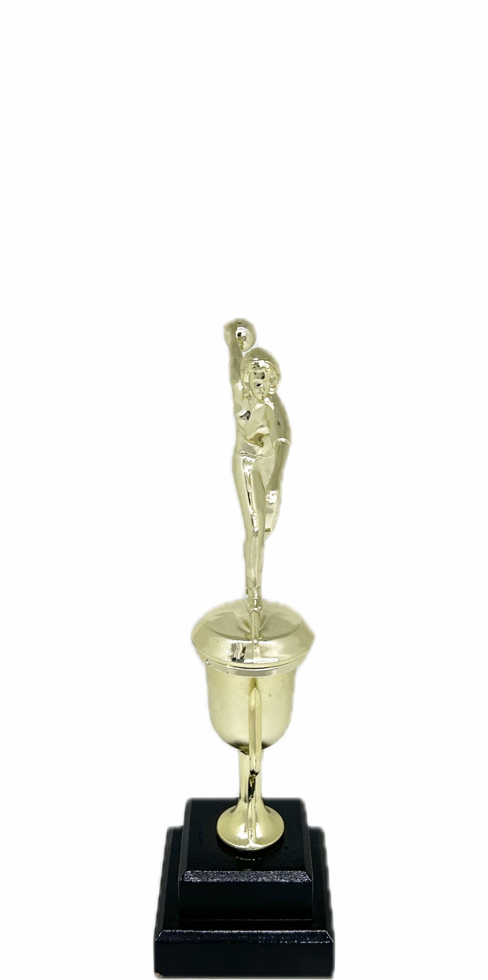 Ten Pin Bowling Allstar Female Trophy 265mm
