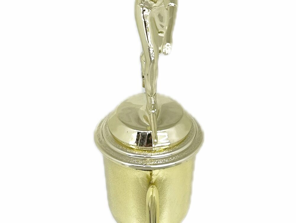Ten Pin Bowling Allstar Female Trophy 325mm