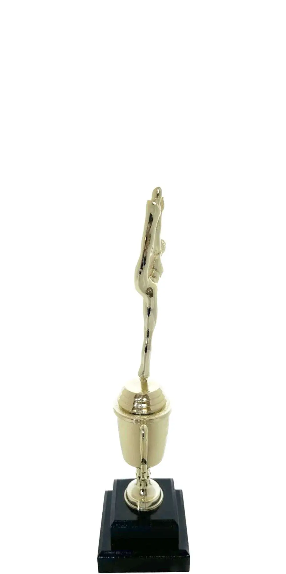 Modern Dance Trophy 290mm