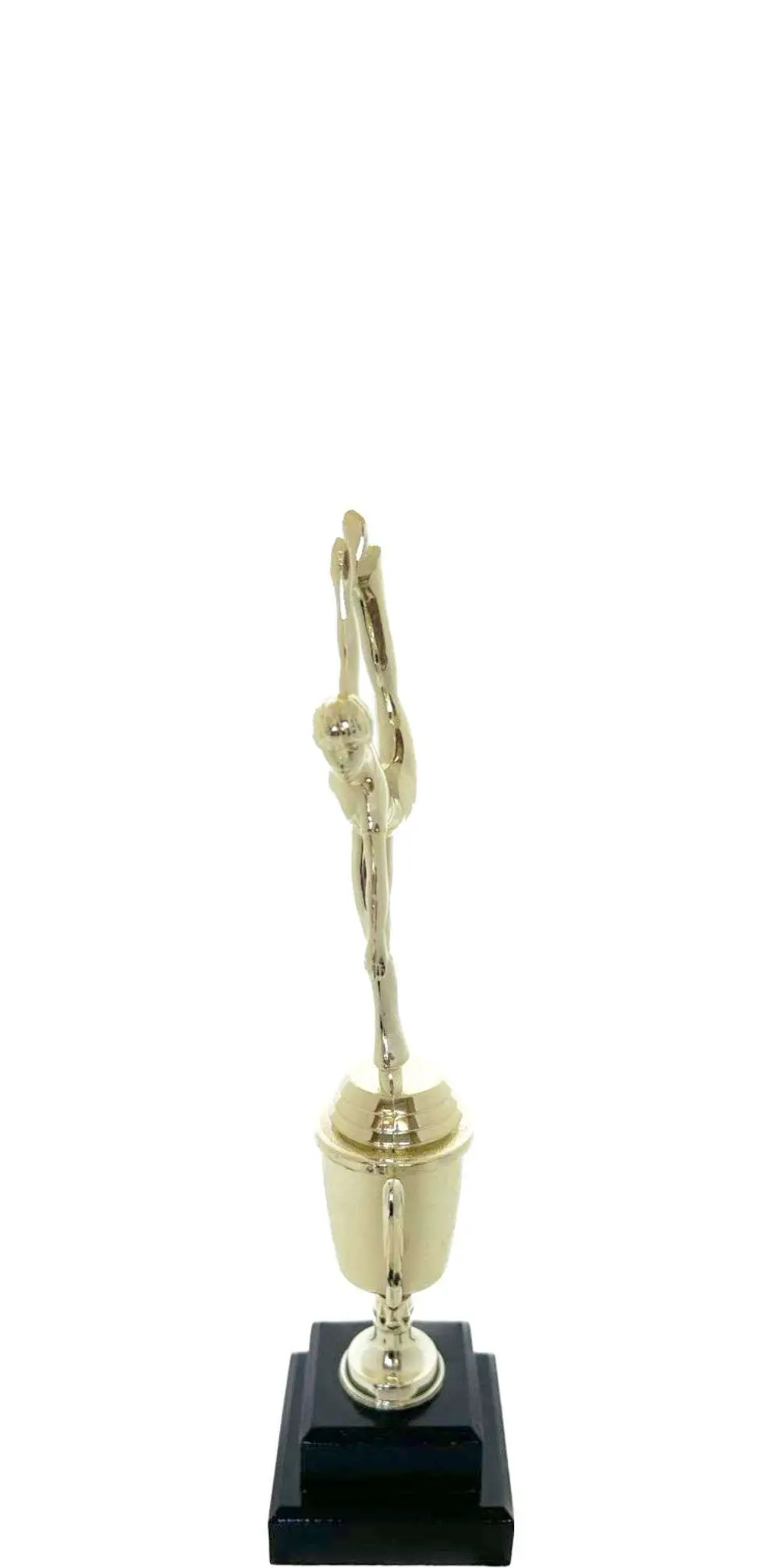 Modern Dance Trophy 290mm
