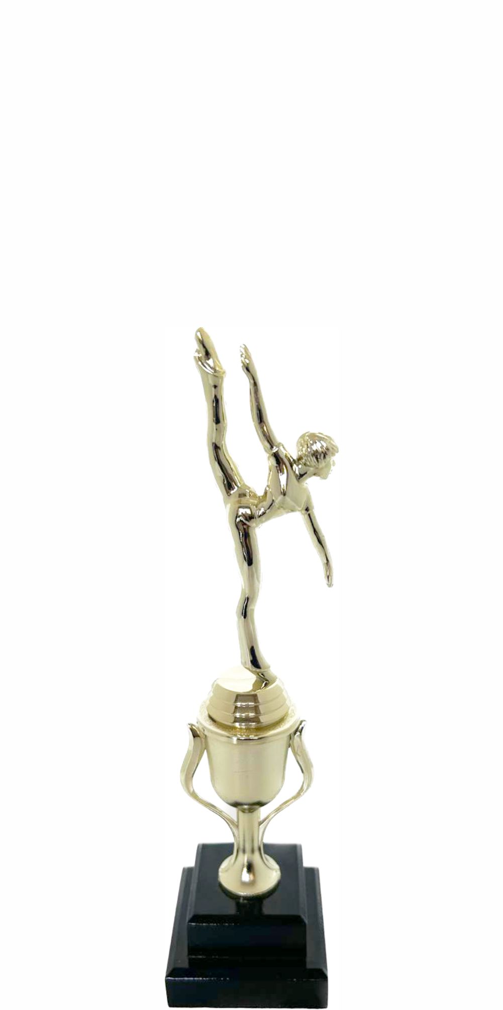Modern Dance Trophy 290mm