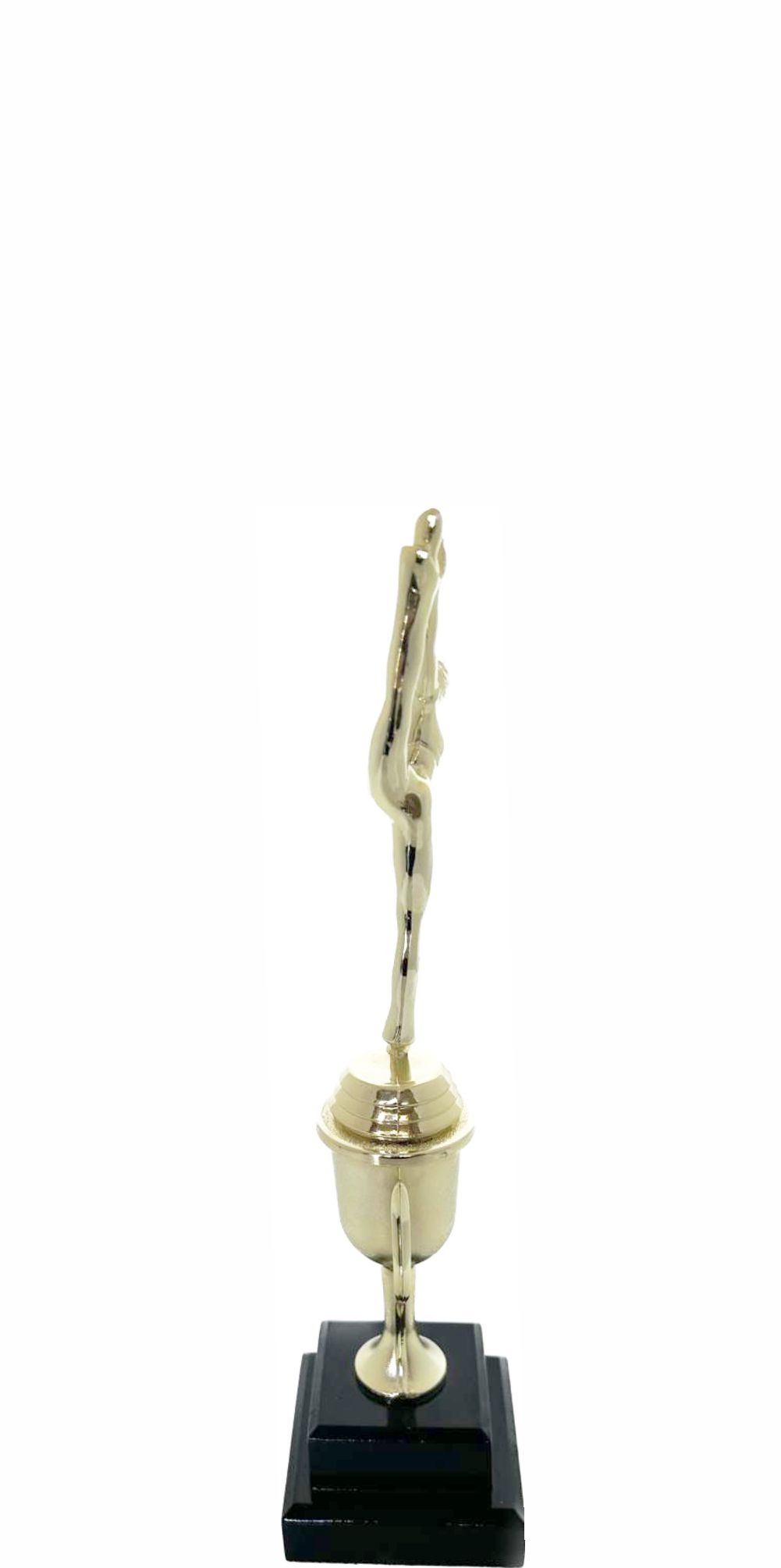 Modern Dance Trophy 290mm