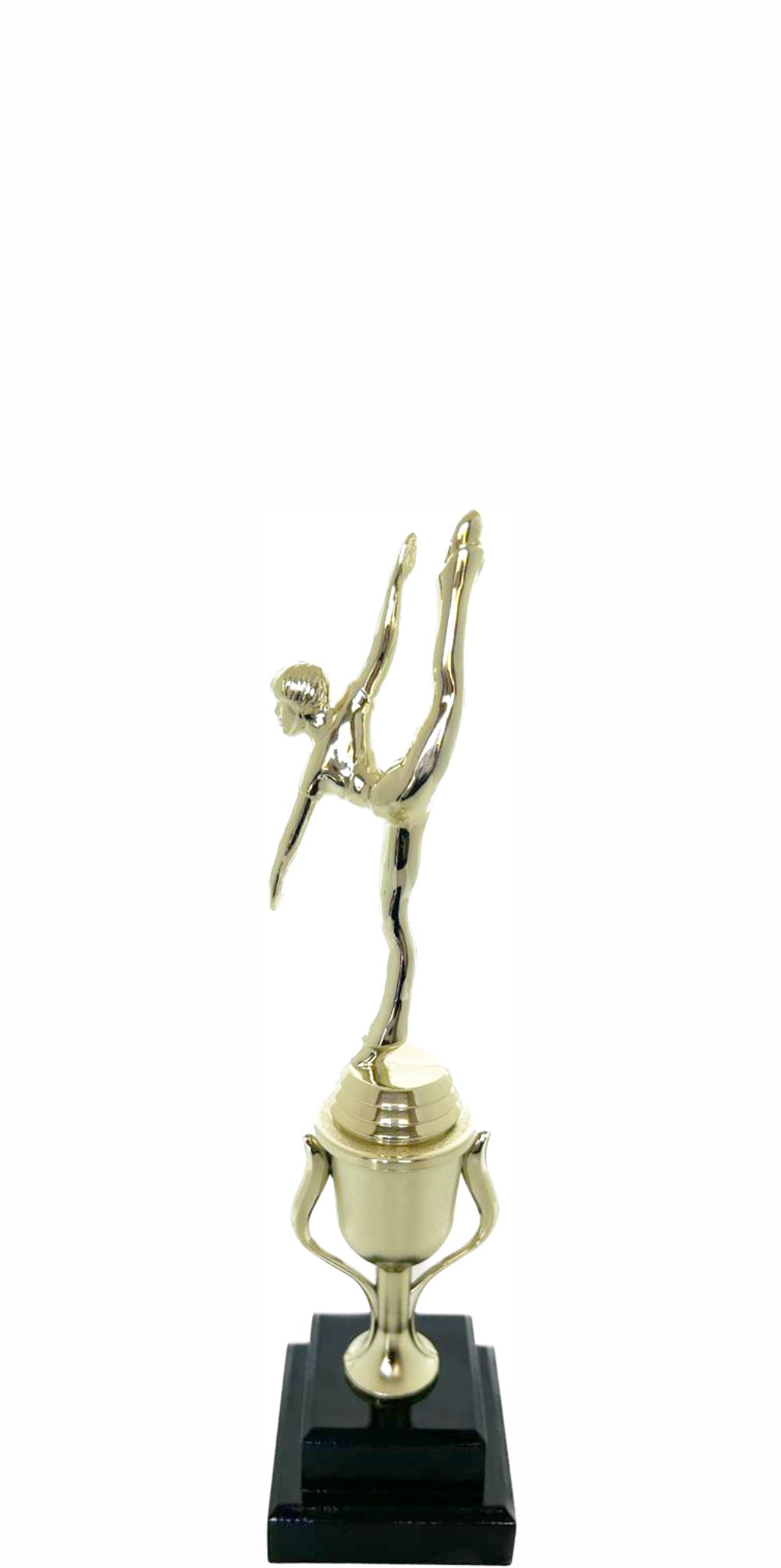 Modern Dance Trophy 290mm