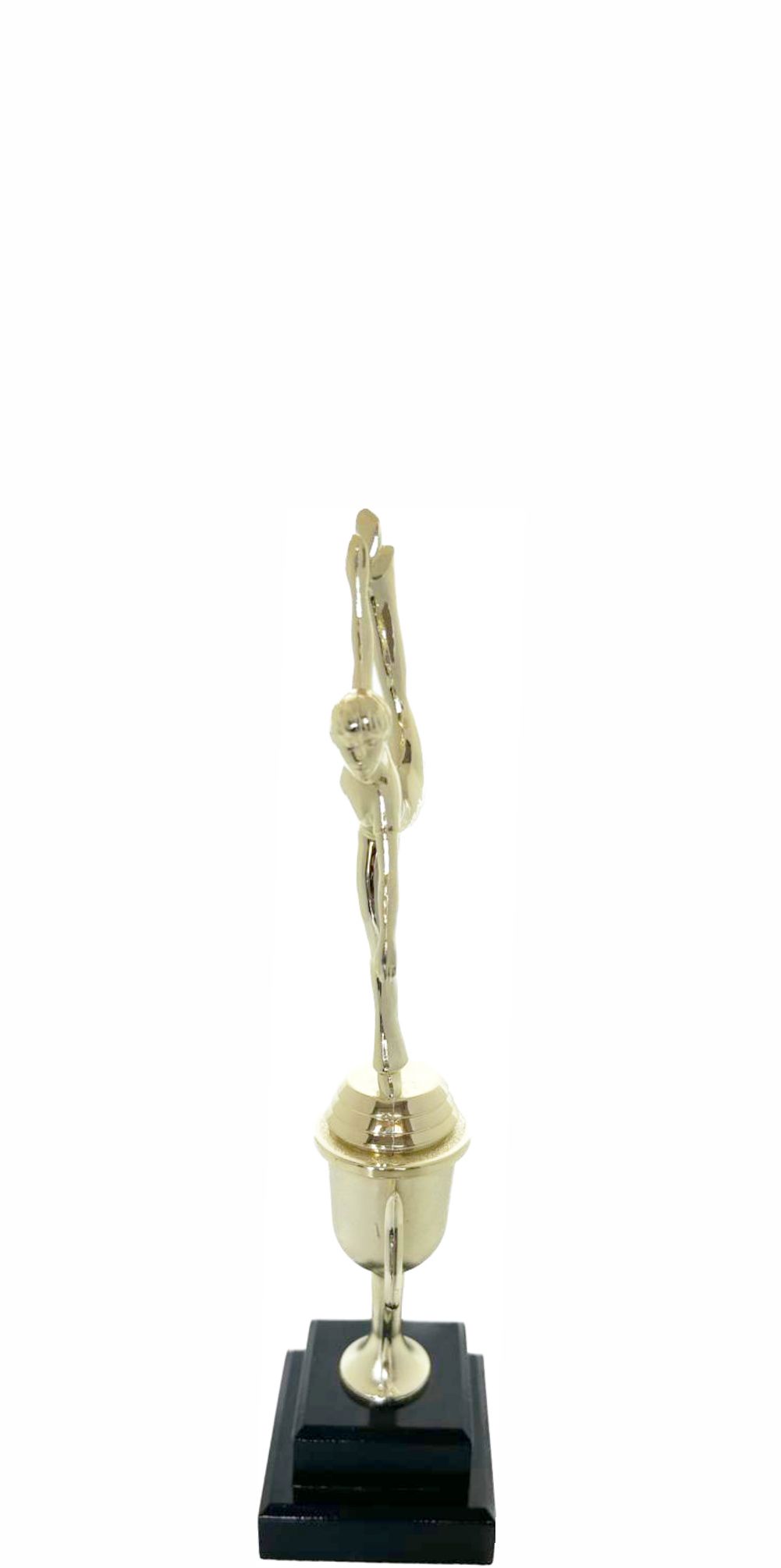 Modern Dance Trophy 290mm