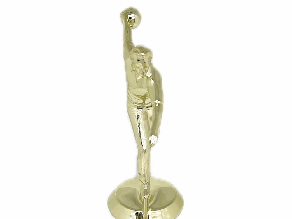 Ten Pin Bowling Allstar Male Trophy 265mm