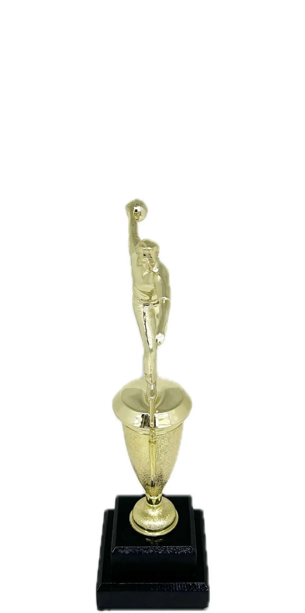 Ten Pin Bowling Allstar Male Trophy 265mm