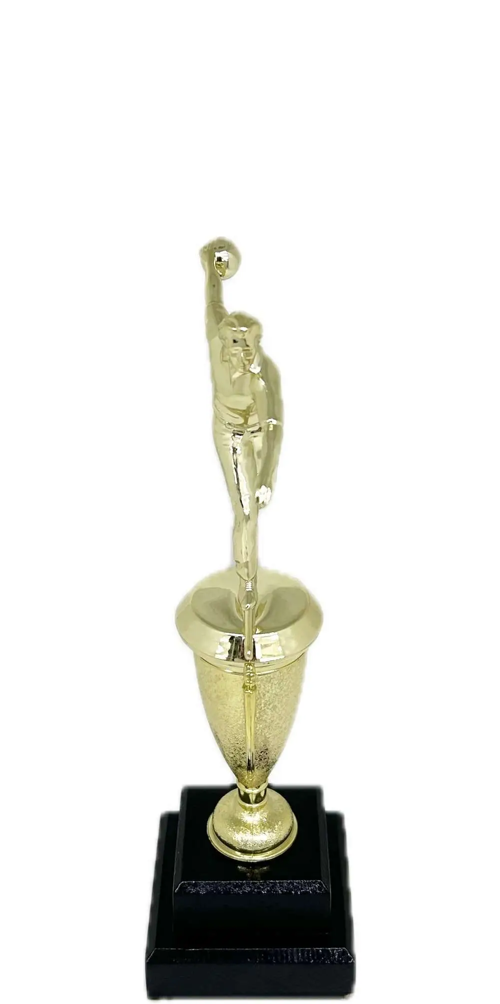 Ten Pin Bowling Allstar Male Trophy 285mm