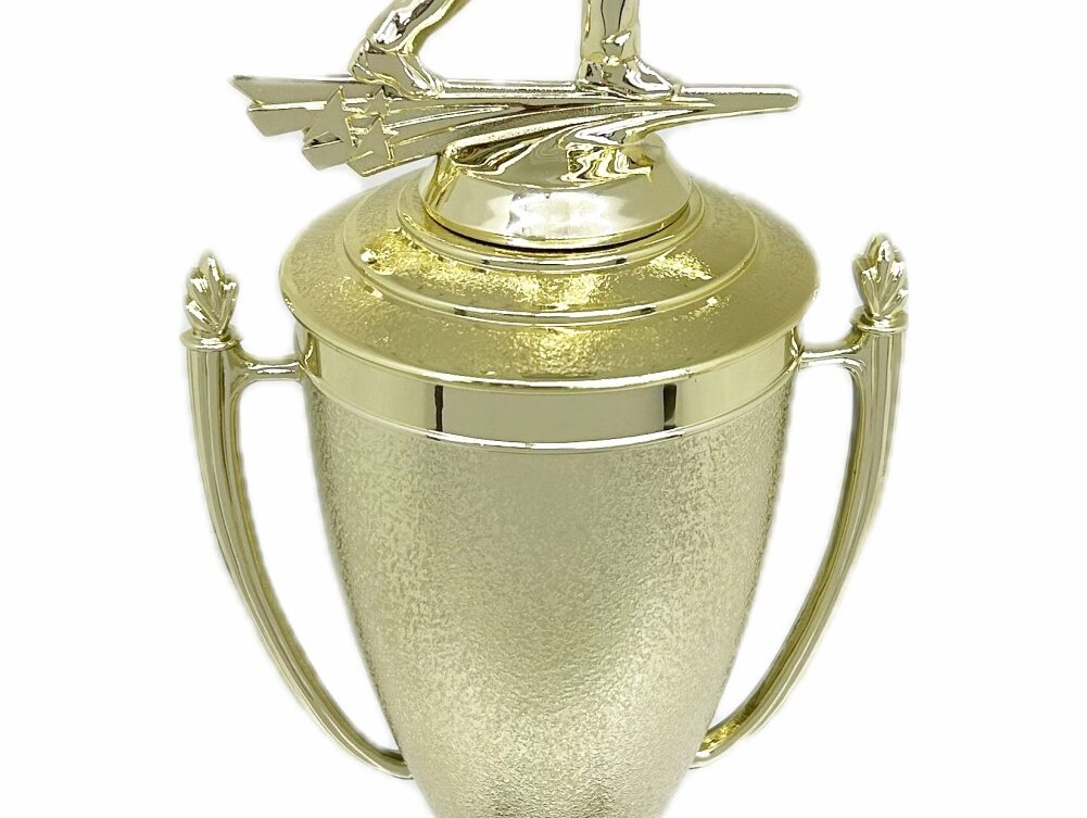 Ten Pin Bowling Allstar Male Trophy 365mm