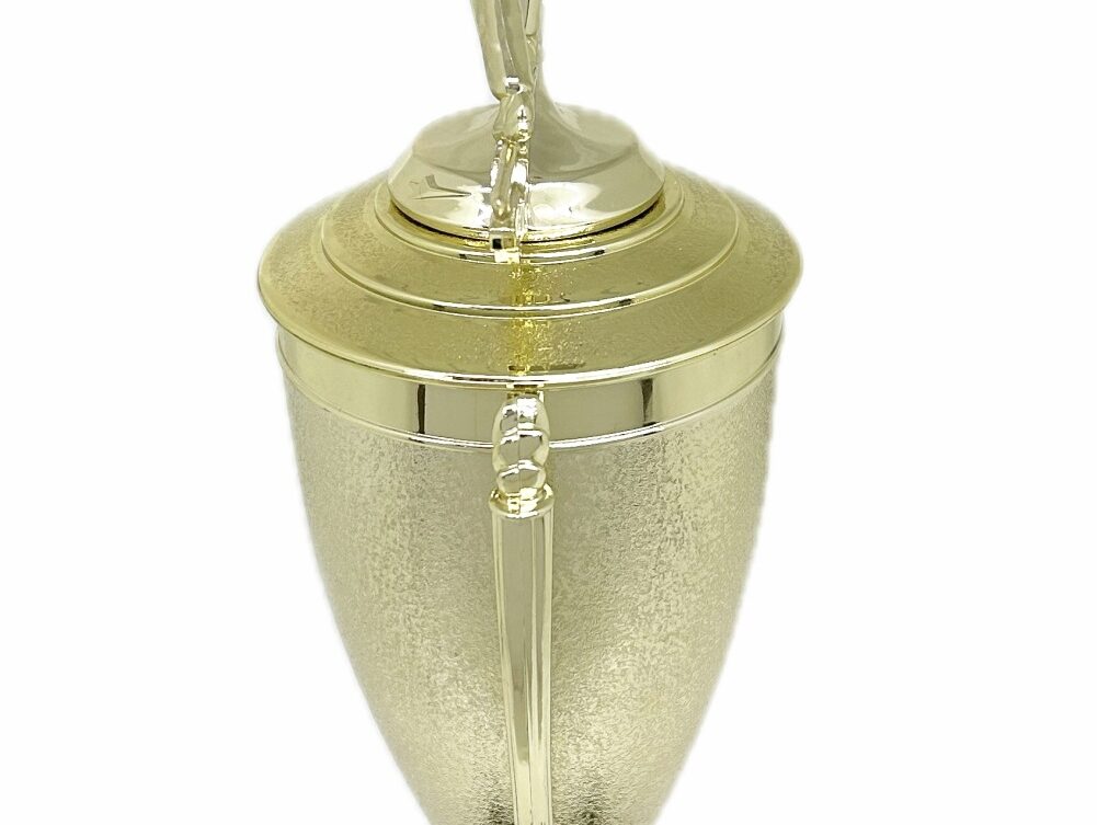 Ten Pin Bowling Allstar Male Trophy 365mm