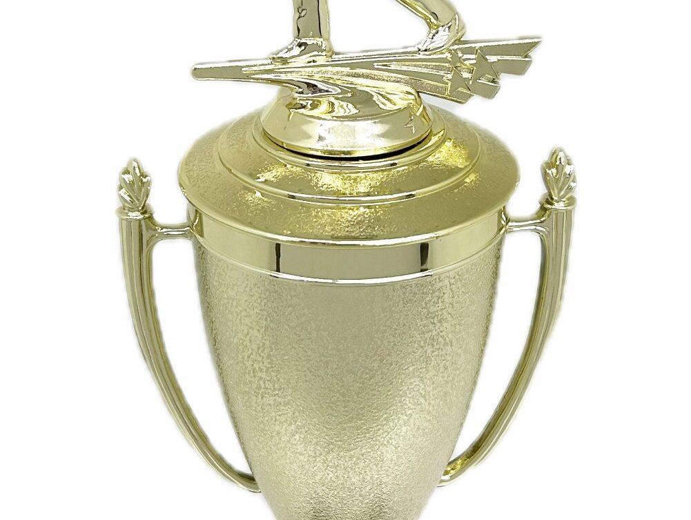 Ten Pin Bowling Allstar Male Trophy 365mm