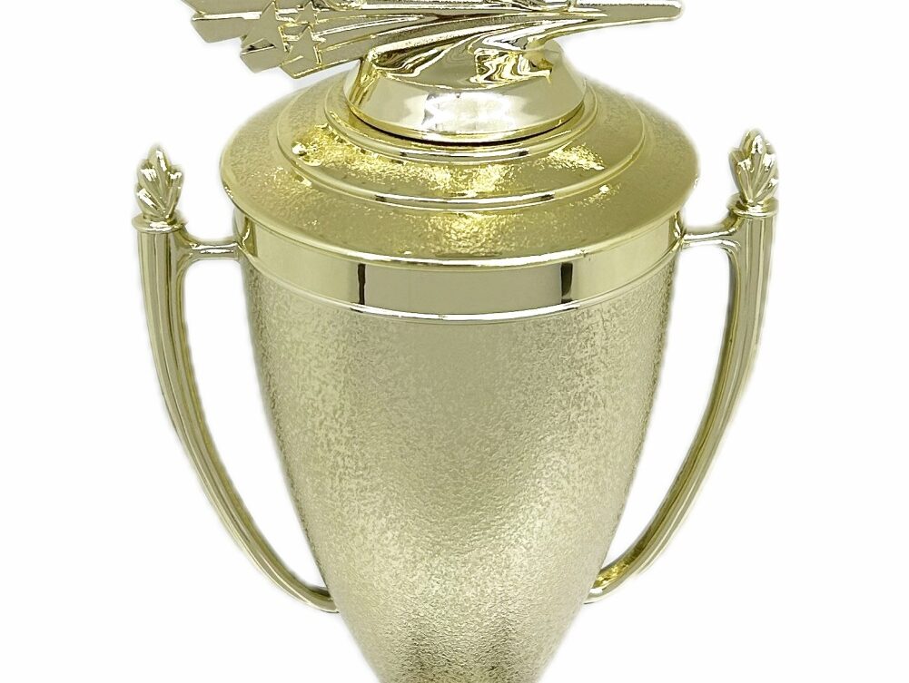 Ten Pin Bowling Allstar Male Trophy 405mm