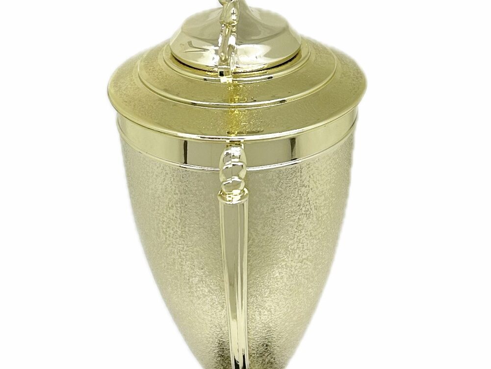 Ten Pin Bowling Allstar Male Trophy 405mm