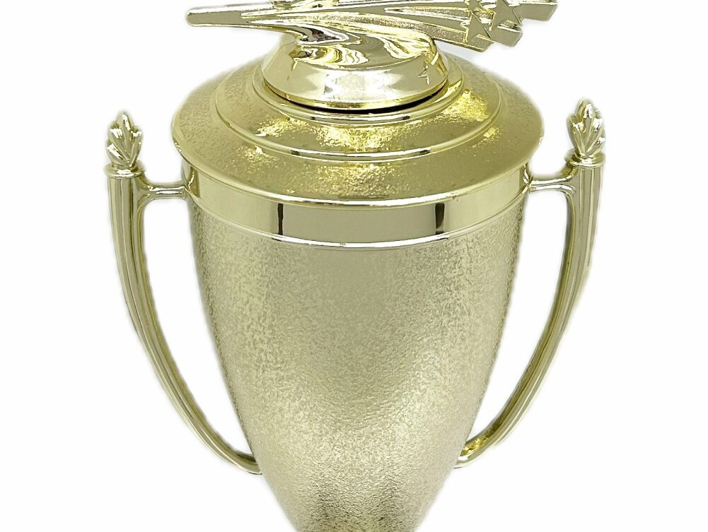 Ten Pin Bowling Allstar Male Trophy 405mm