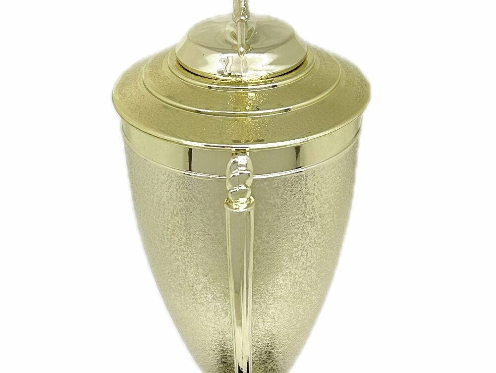 Ten Pin Bowling Allstar Male Trophy 405mm