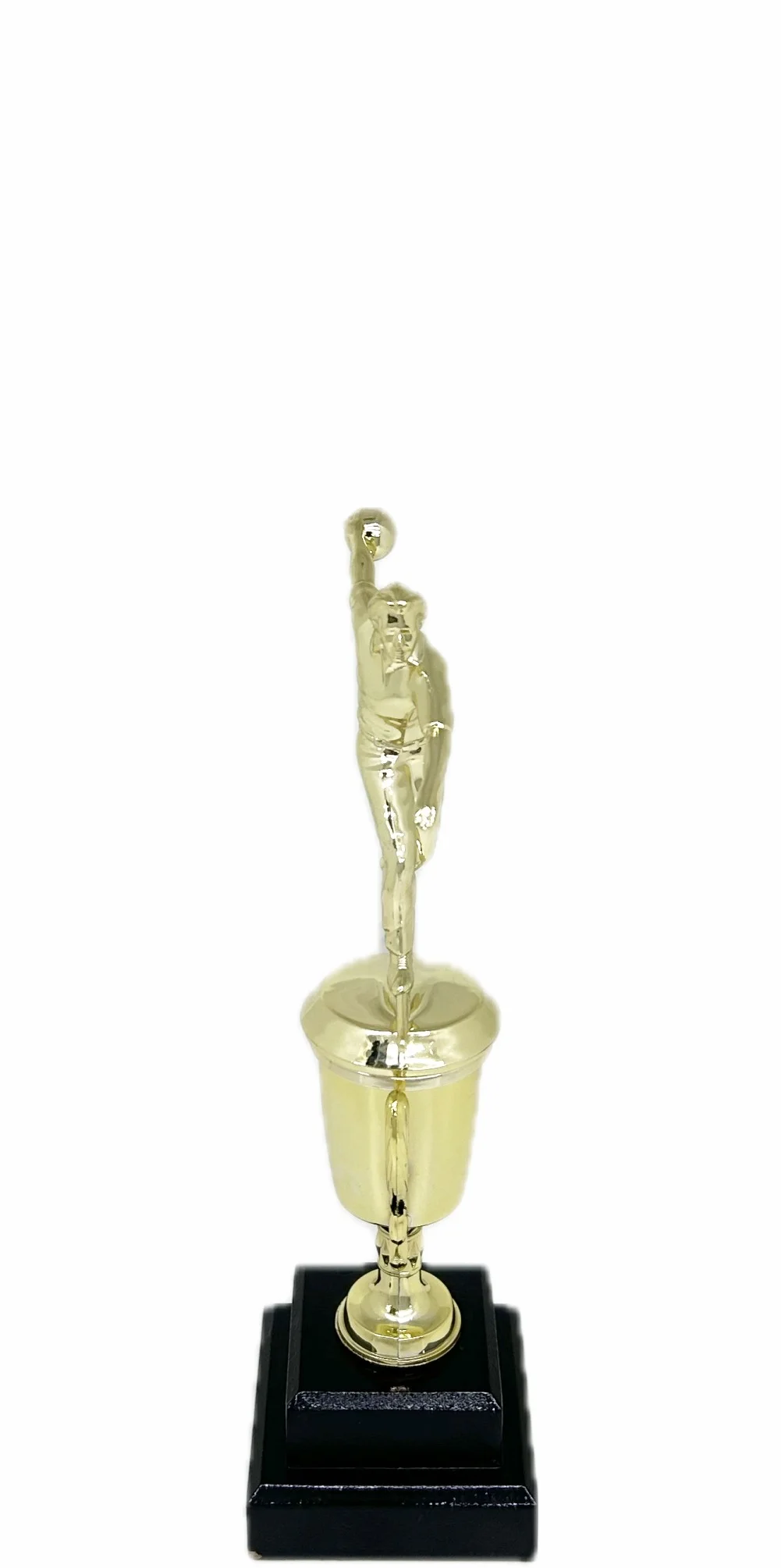 Ten Pin Bowling Allstar Male Trophy 265mm