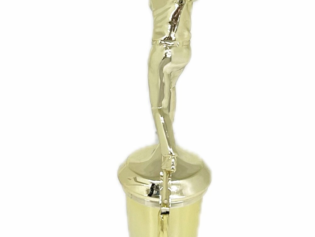 Ten Pin Bowling Allstar Male Trophy 285mm