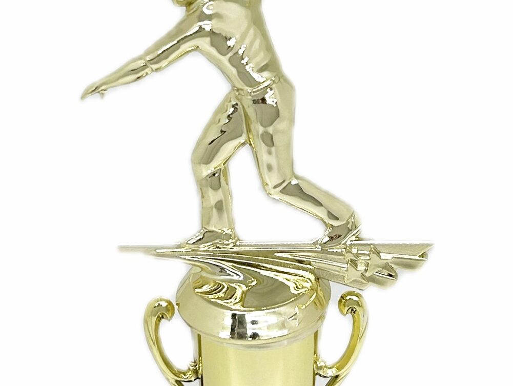Ten Pin Bowling Allstar Male Trophy 285mm