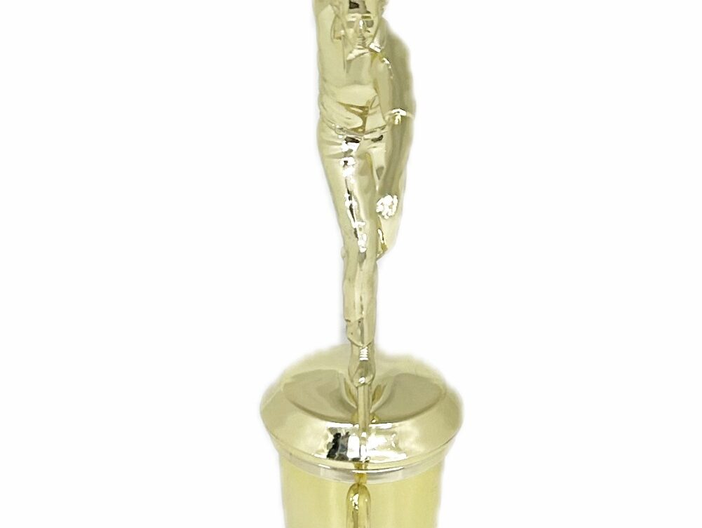 Ten Pin Bowling Allstar Male Trophy 285mm