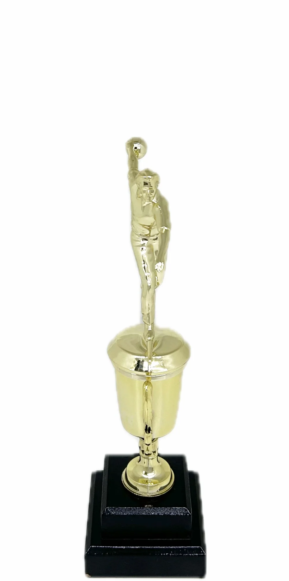 Ten Pin Bowling Allstar Male Trophy 285mm